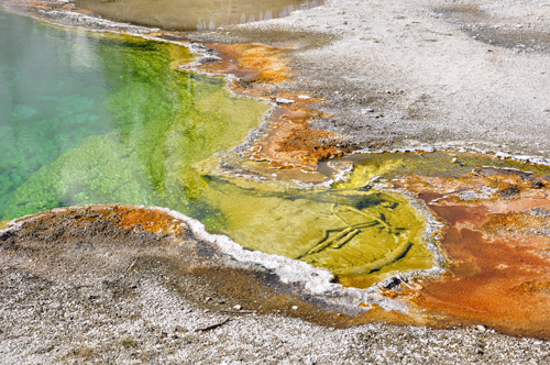 West Thumb Geyser Basin - Big Cone